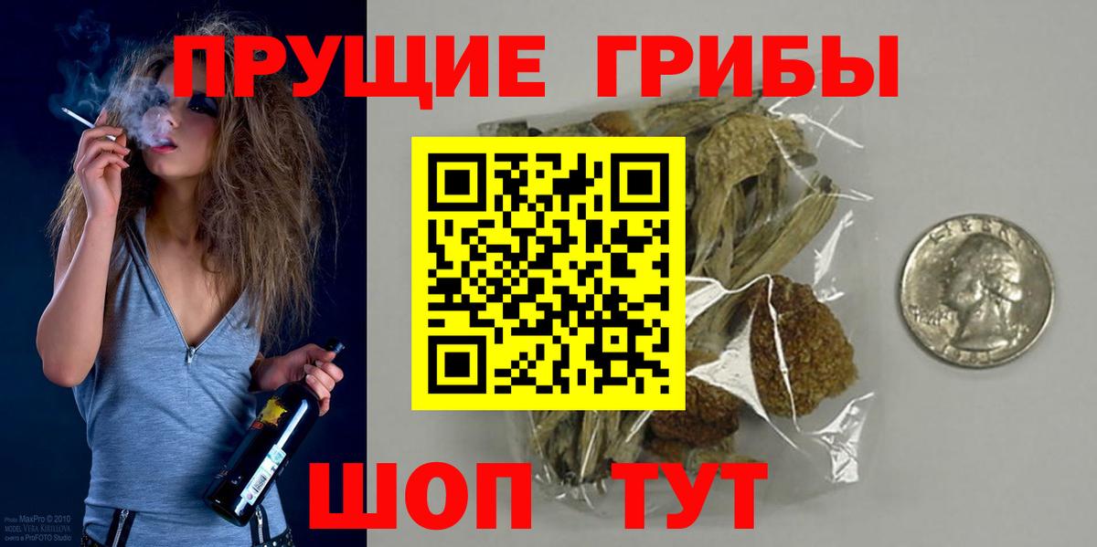 Волоколамск  Псилоцибиновые грибы ЛСД  Вход с VPN 